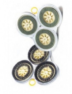 MODULO PECARI CARTER CON...